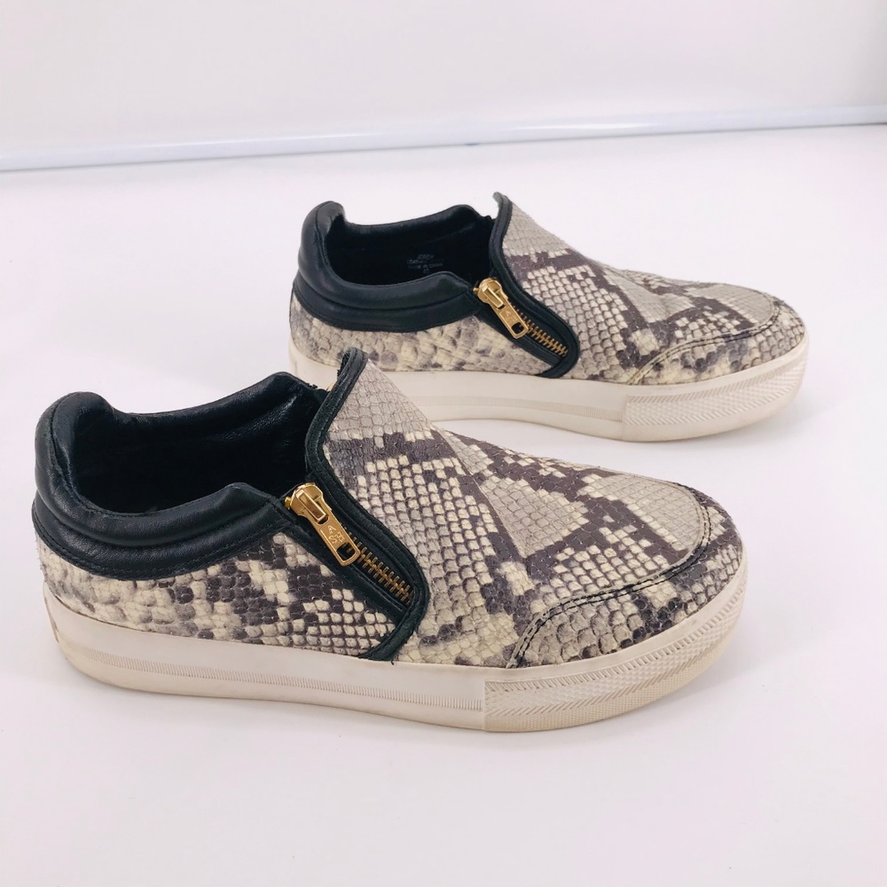 Ash Jordy Snake-Print Leather Sneaker Side Zipper Roccia & Black Size 40 US 10 - Picture 2 of 8